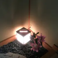 煌の写真・動画_image_132849