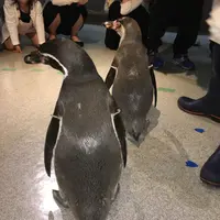 虹の森公園四万十川学習センターおさかな館の写真・動画_image_132865