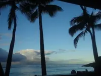 ザ ベランダの写真・動画_image_132891