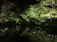 高台寺の写真・動画_image_132963
