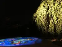 高台寺の写真・動画_image_132964