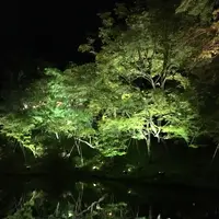 高台寺の写真・動画_image_132965