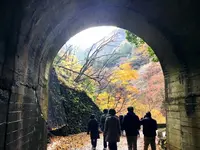 神戸岩の写真・動画_image_133015