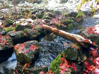 神戸岩の写真・動画_image_133017