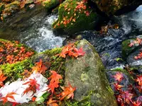 神戸岩の写真・動画_image_133019