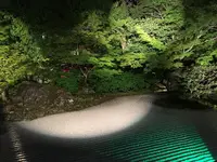 圓徳院の写真・動画_image_133046