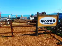函館牛乳 あいす118の写真・動画_image_133050