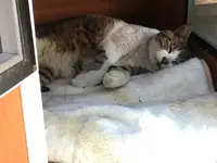 御誕生寺の写真・動画_image_133063