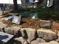 御誕生寺の写真・動画_image_133071