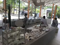 Oedo+の写真・動画_image_133094