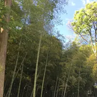 Oedo+の写真・動画_image_133095