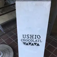 USHIO CHOCOLATL （ウシオチョコラトル）の写真・動画_image_133097