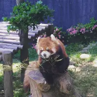 西山公園の写真・動画_image_133125