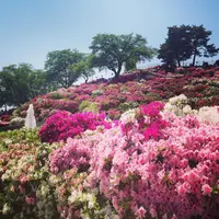 西山公園の写真・動画_image_133130