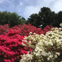 笠間つつじ公園の写真・動画_image_133254