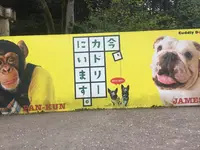 阿蘇カドリー・ドミニオンの写真・動画_image_133324