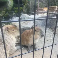 阿蘇カドリー・ドミニオンの写真・動画_image_133326