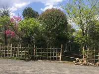 久木野庵の写真・動画_image_133329