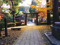 白川水源の写真・動画_image_133331