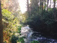 白川水源の写真・動画_image_133334