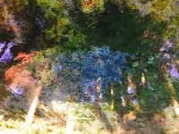 白川水源の写真・動画_image_133335
