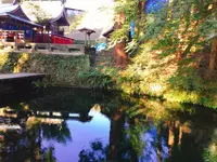 白川水源の写真・動画_image_133336