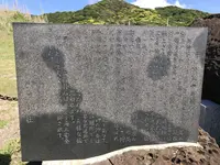 洲崎神社の写真・動画_image_133499