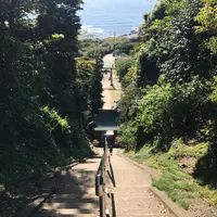 洲崎神社の写真・動画_image_133504