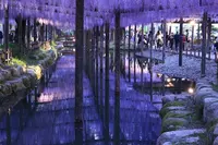 天王川公園の写真・動画_image_133537