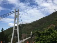 上野スカイブリッジの写真・動画_image_133546