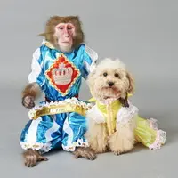 阿蘇カドリー・ドミニオンの写真・動画_image_133567