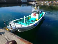 矢越クルーズ(矢越海岸アドベンチャーズのりば)の写真・動画_image_133594