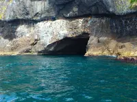 矢越クルーズ(矢越海岸アドベンチャーズのりば)の写真・動画_image_133596