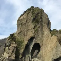 矢越クルーズ(矢越海岸アドベンチャーズのりば)の写真・動画_image_133599