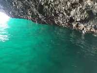 矢越クルーズ(矢越海岸アドベンチャーズのりば)の写真・動画_image_133600