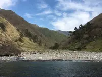 矢越クルーズ(矢越海岸アドベンチャーズのりば)の写真・動画_image_133604
