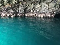 矢越クルーズ(矢越海岸アドベンチャーズのりば)の写真・動画_image_133605