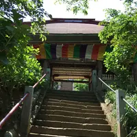 長谷寺の写真・動画_image_133614