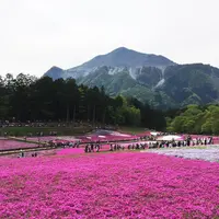 羊山公園の写真・動画_image_133637