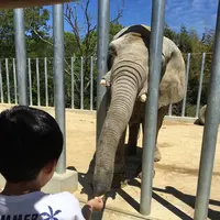 しろとり動物園の写真・動画_image_133756