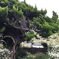 カフェ えどもんずの写真・動画_image_133818