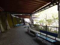 竹生島の写真・動画_image_133875