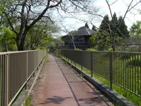 高島市新旭水鳥観察センターの写真・動画_image_133952