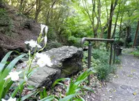 清水寺の写真・動画_image_133966