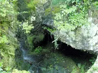 清水寺の写真・動画_image_133967