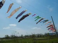 松ノ木内湖の写真・動画_image_133968