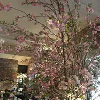 ラビスタ函館ベイの写真・動画_image_133994