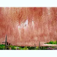 あしかがフラワーパークの写真・動画_image_134014
