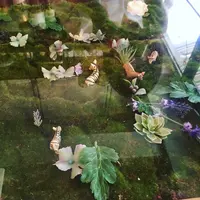 シュードゥリュバン(Chou de ruban)の写真・動画_image_134108