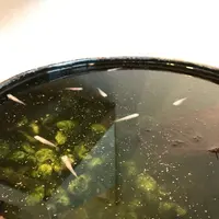 道の駅 頓原の写真・動画_image_134125